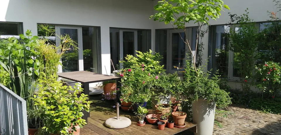 225 Square Meter Gallery/Commercial/Shop Space in Gundeli