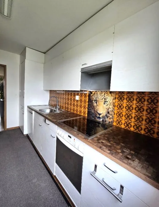 Bright 5.5-room apartment with a far-reaching view in the center of Volketswil