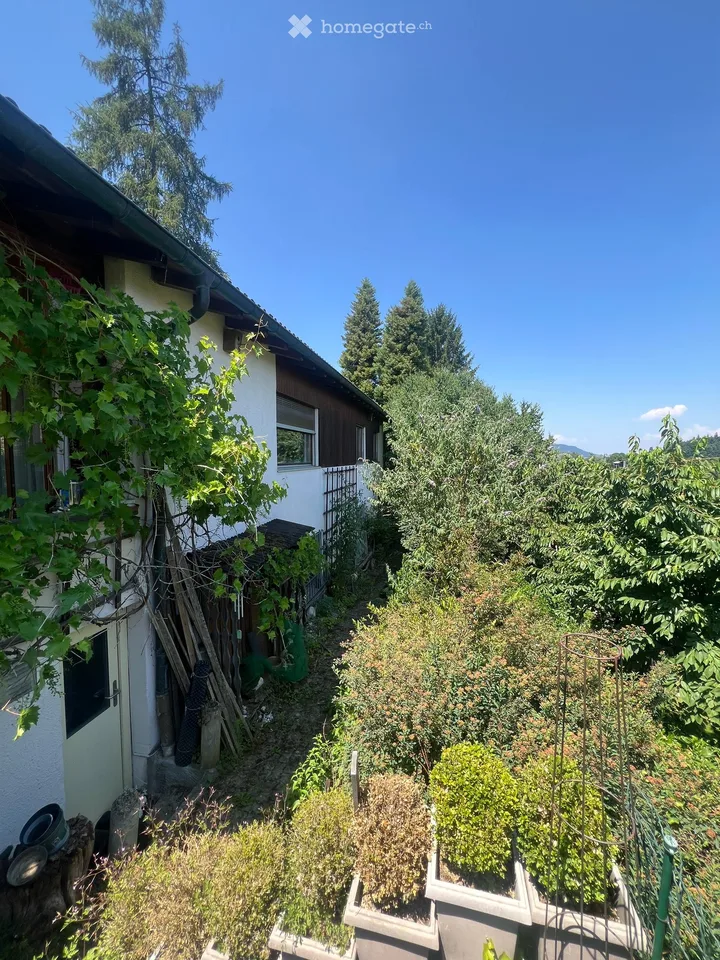 Casa familiare di 6,5 locali a Langnau am Albis – foto 2 di 11