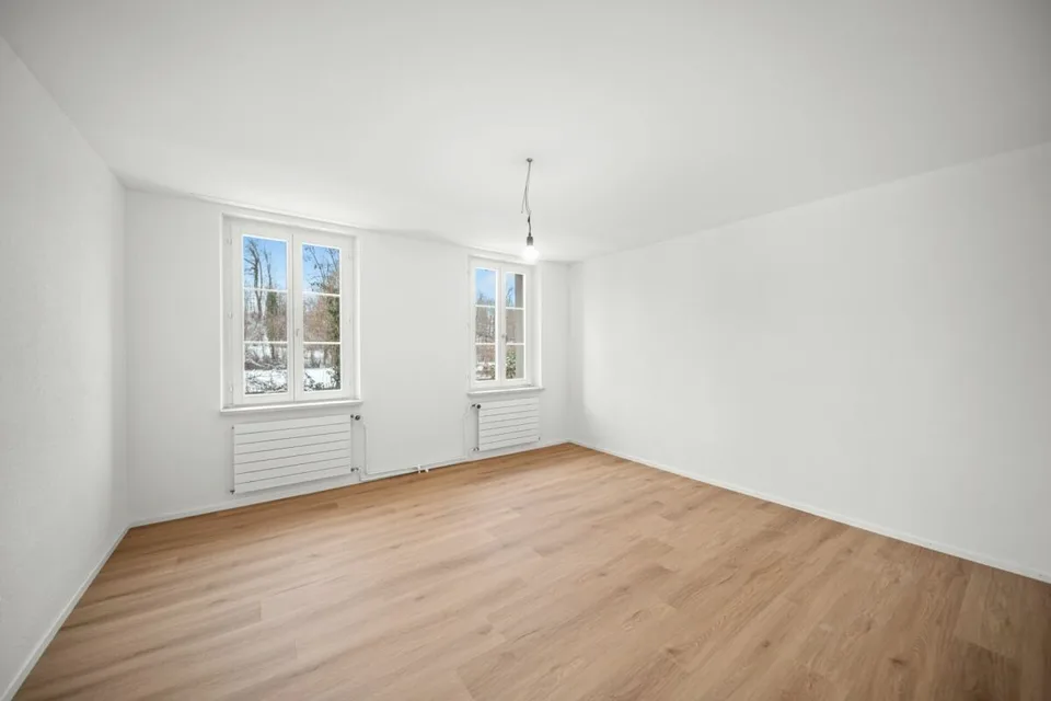 Fully renovated house with two attractive residential units