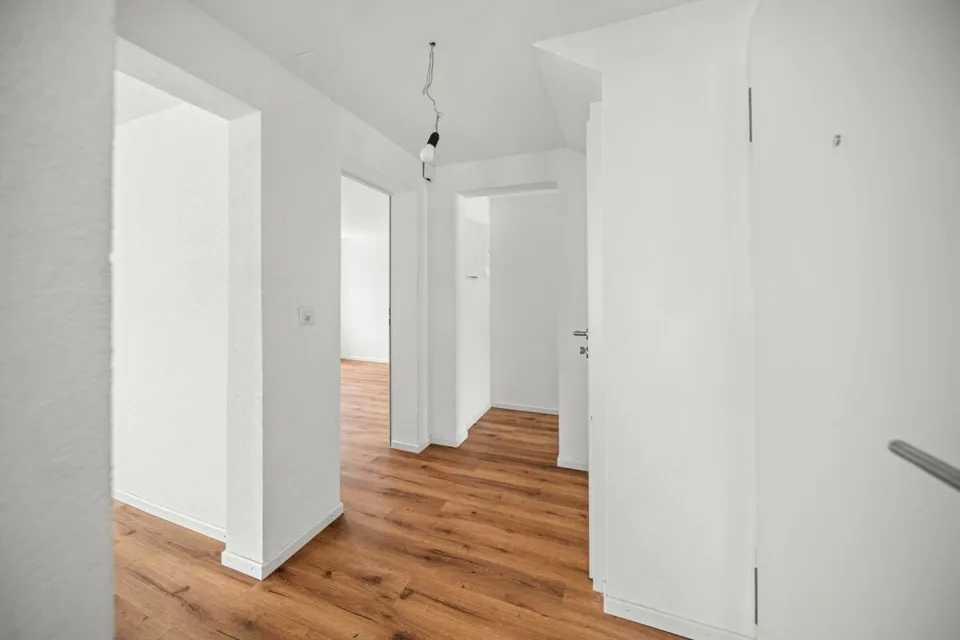 Fully renovated house with two attractive residential units