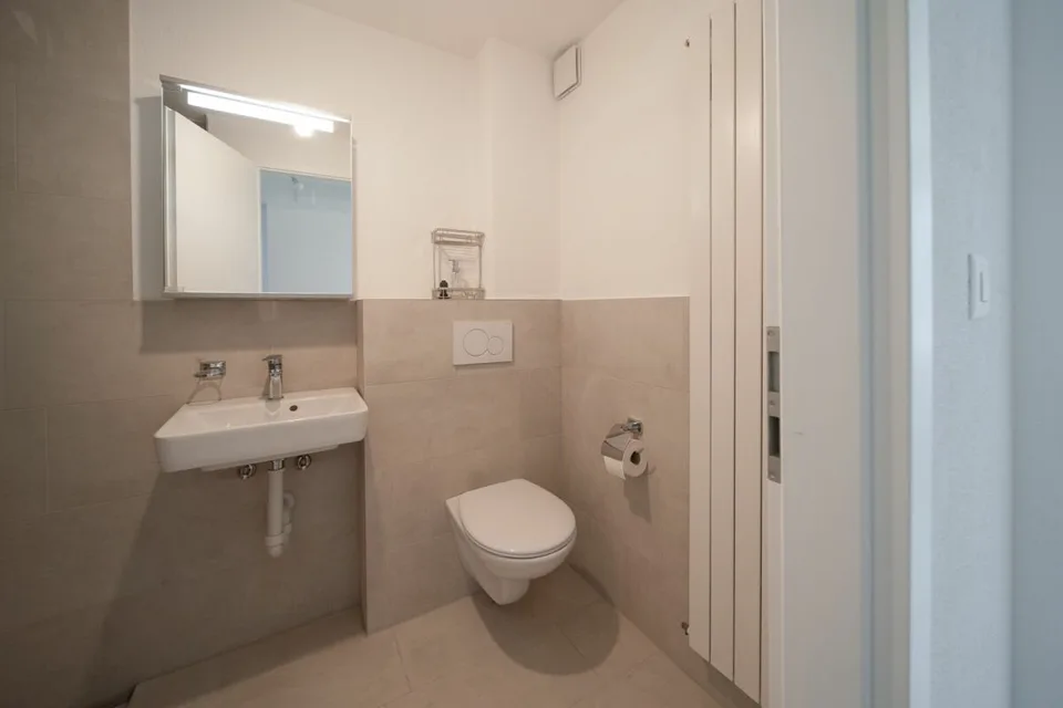 Fully renovated house with two attractive residential units