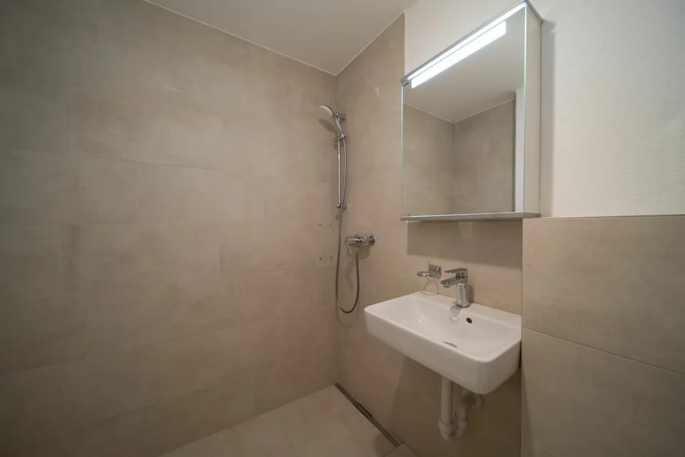 Fully renovated house with two attractive residential units