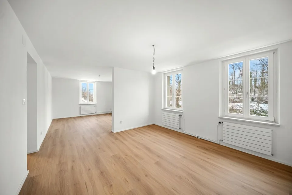 Fully renovated house with two attractive residential units