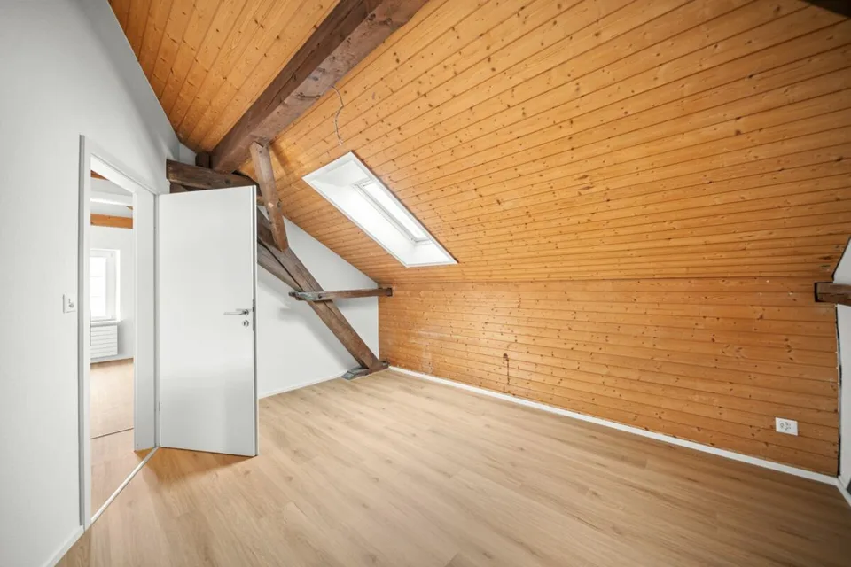 Fully renovated house with two attractive residential units