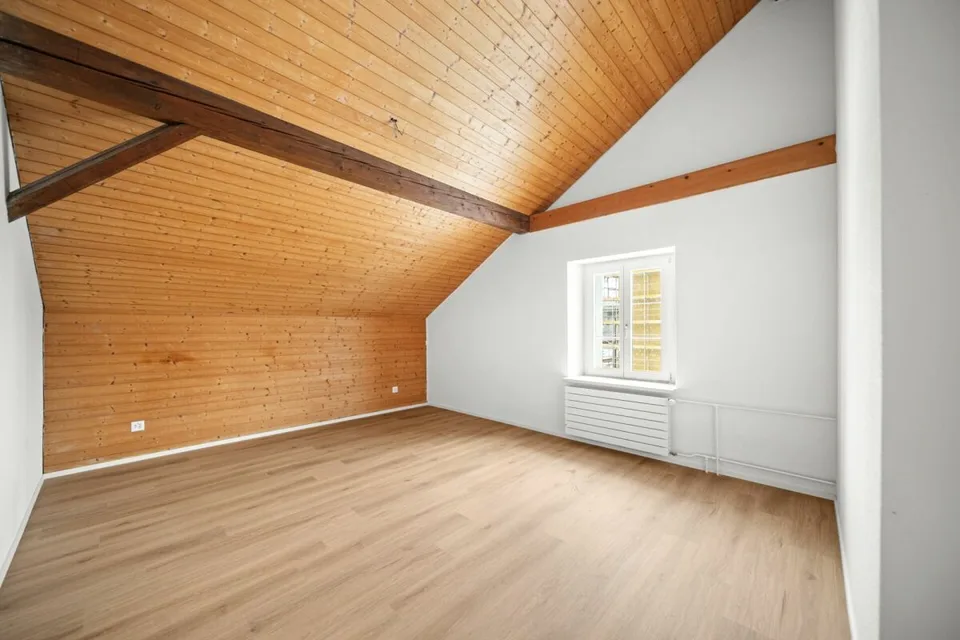 Fully renovated house with two attractive residential units