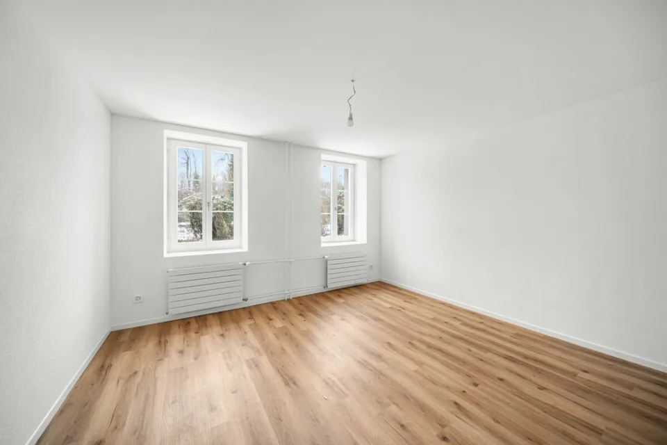 Fully renovated house with two attractive residential units