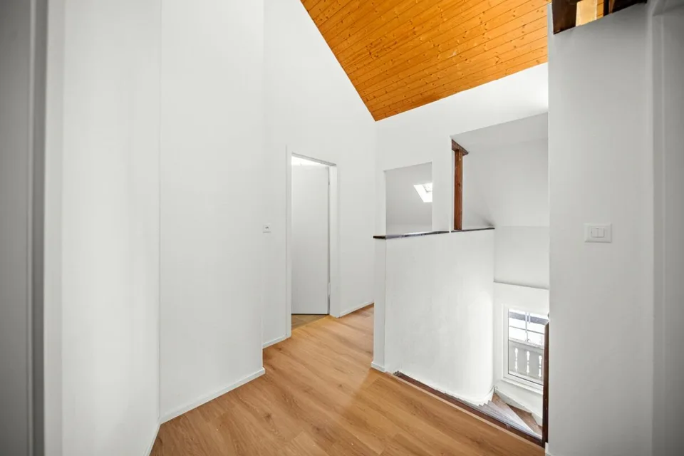 Fully renovated house with two attractive residential units