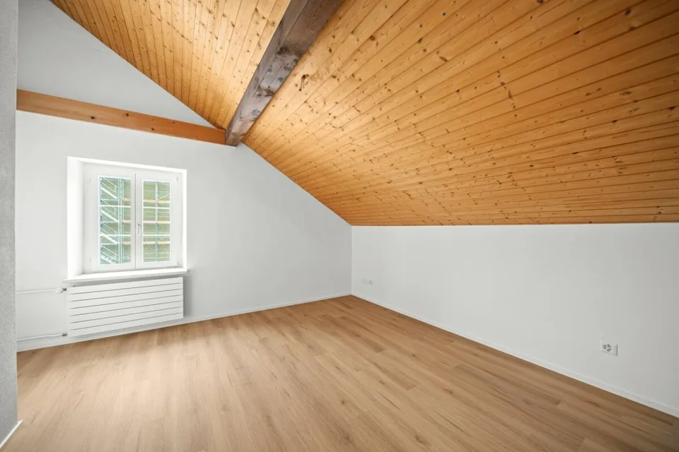 Fully renovated house with two attractive residential units