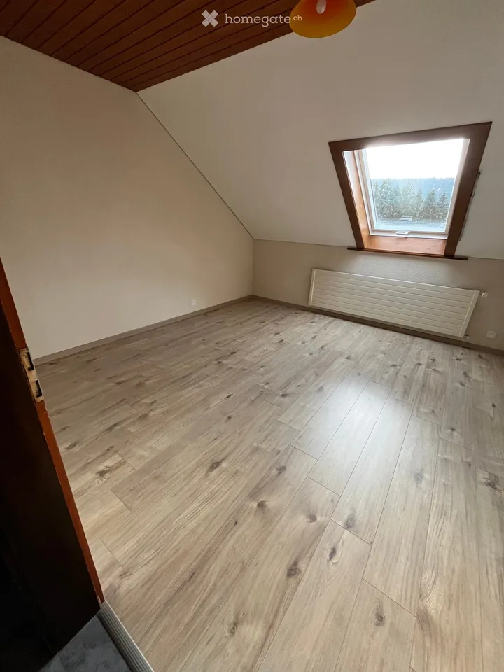 Beautiful renovated apartment