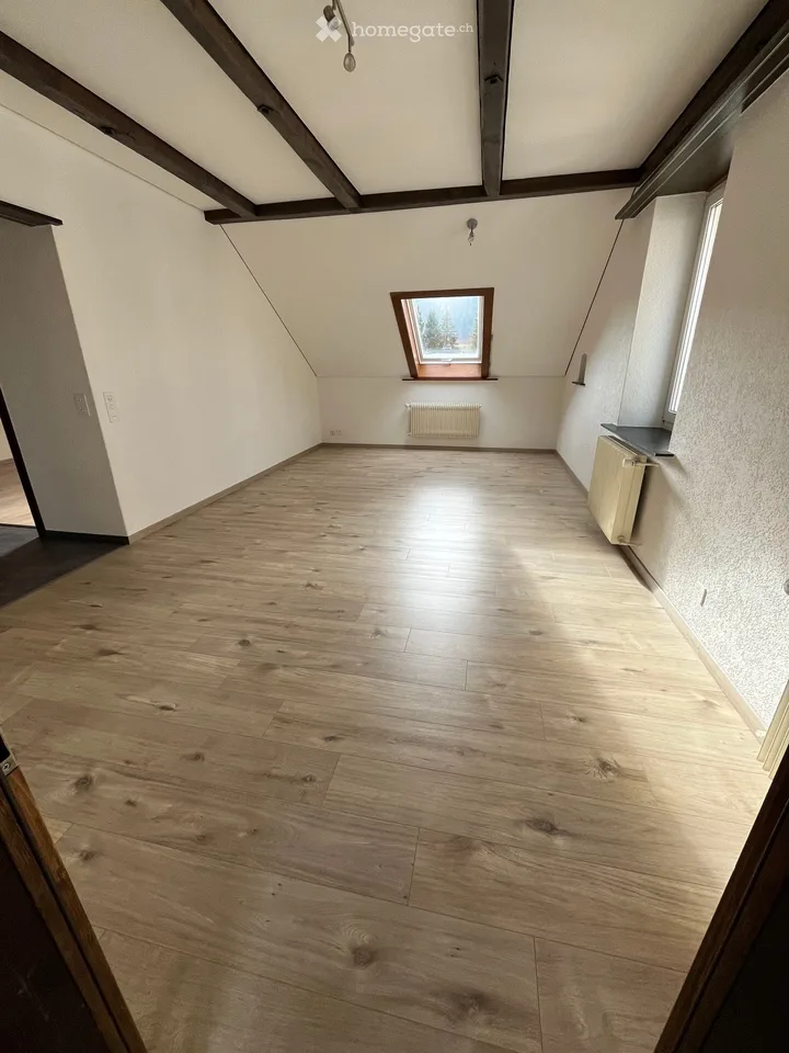 Beautiful renovated apartment