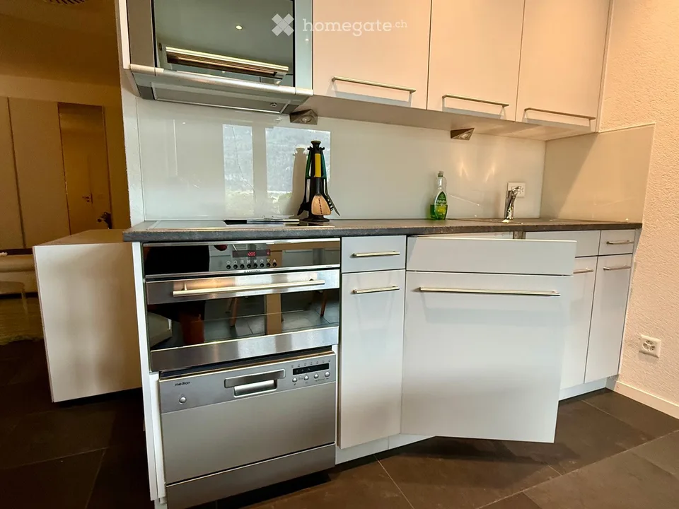 2.5-Room Modern Apartment with Lake View and Garden Seating Area – Quietly Located and Furnished