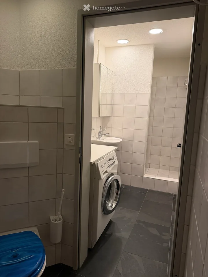 2.5-Room Modern Apartment with Lake View and Garden Seating Area – Quietly Located and Furnished