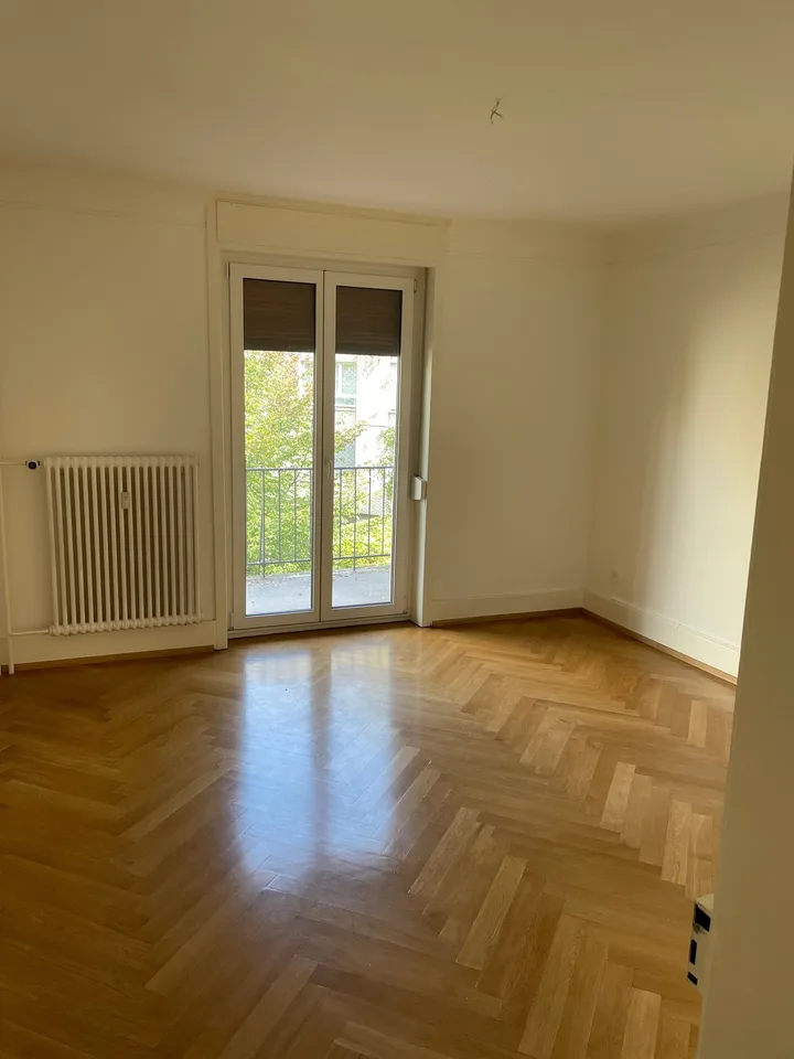 Beautiful, cozy old building apartment