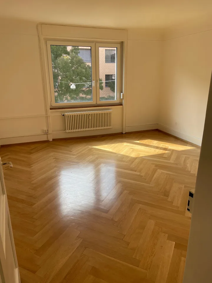 Beautiful, cozy old building apartment