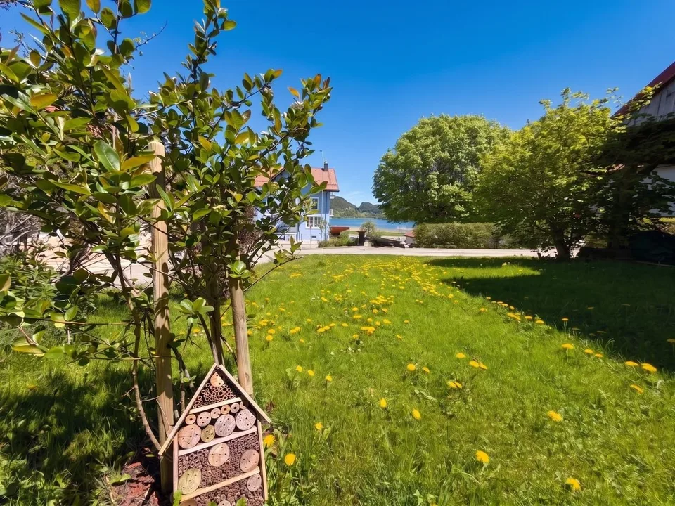 Maison à vendre à la Vallée de Joux de 6.5 pièces - 230 m², avec appartement de 2 pièces et grand jardin