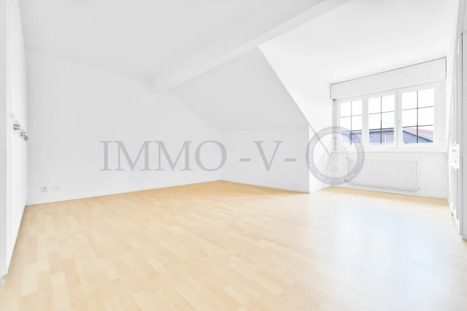 Geräumiges renoviertes Dachgeschoss mit Charme und Balkon-Terrasse mit Seeblick