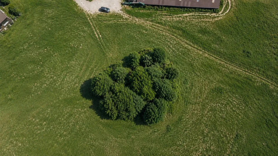 Vue de rêve, situation ensoleillée et beaucoup de potentiel à Speicher