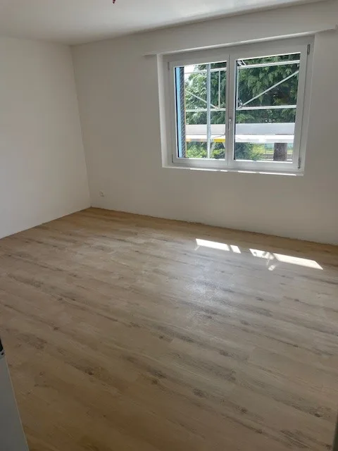 First rental of new 4.5 room apartments with balcony in completely renovated house