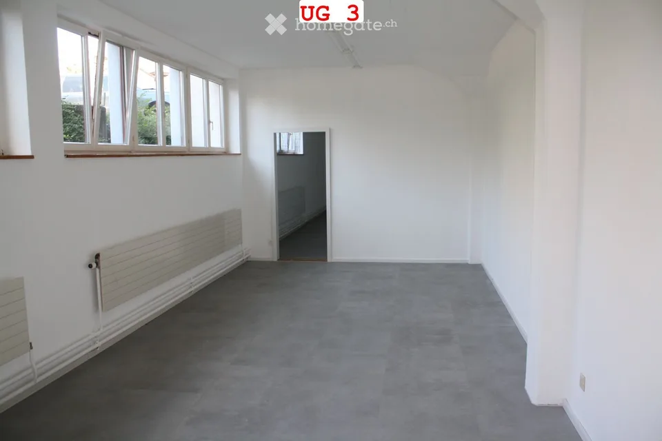Bureaux individuels à Winterthur Seen
