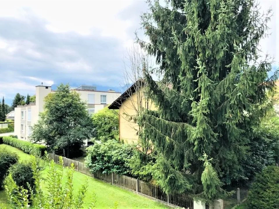 4-Zimmerwohnung im Parterre