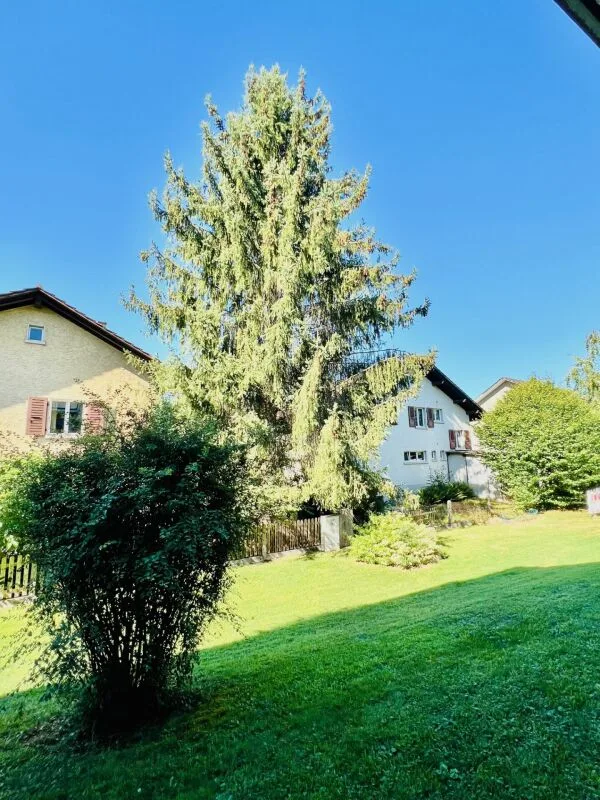 4-Zimmerwohnung im Parterre