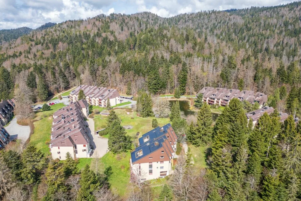 Duplex de 140 m² en dernier étage avec 3 chambres, terrasse et forêt – photo 13 sur 26