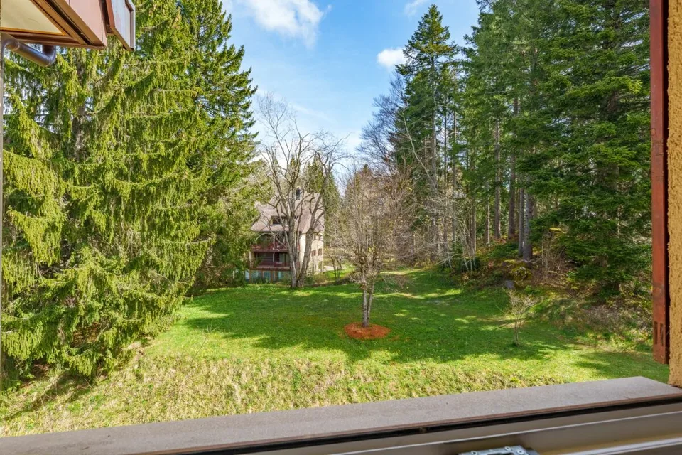 Duplex de 140 m² en dernier étage avec 3 chambres, terrasse et forêt – photo 8 sur 26