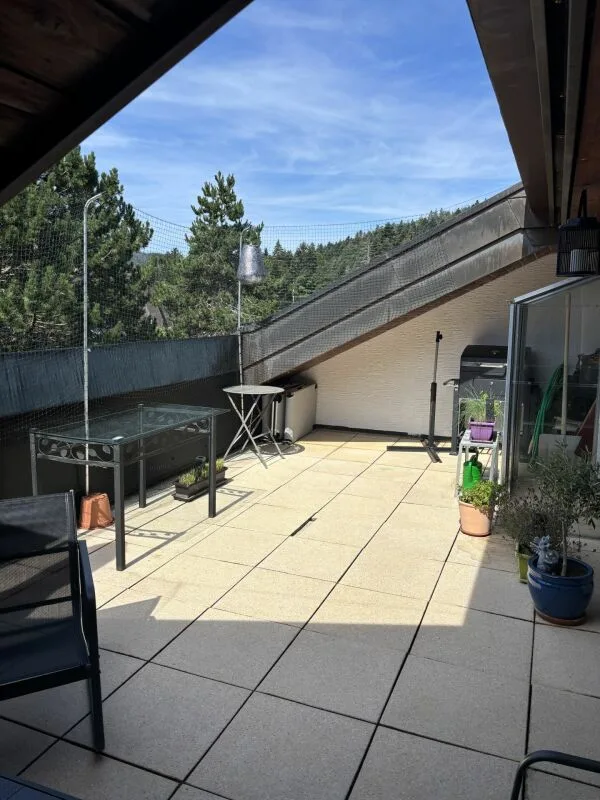 Duplex de 140 m² en dernier étage avec 3 chambres, terrasse et forêt – photo 7 sur 26