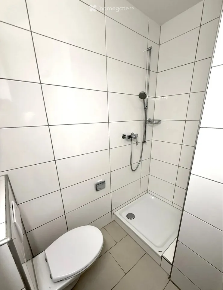 1-bedroom apartment in Kleinbasel (near Rhine)