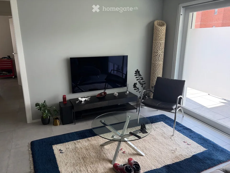 Modern 3.5-room apartment