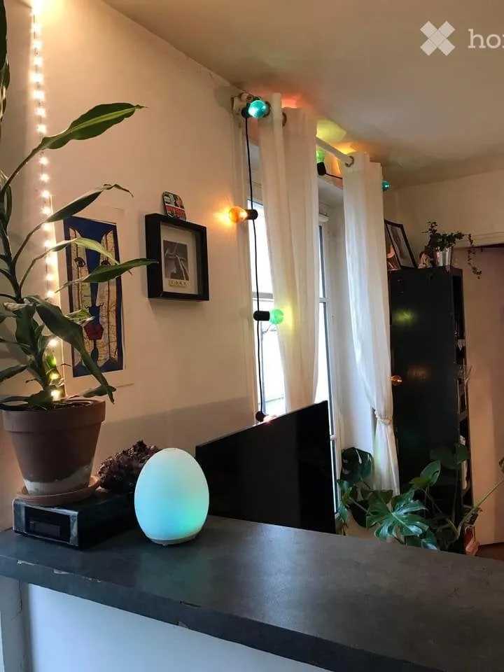 Coup de cœur: Charmantes Studio 29 m² zur Verfügung
