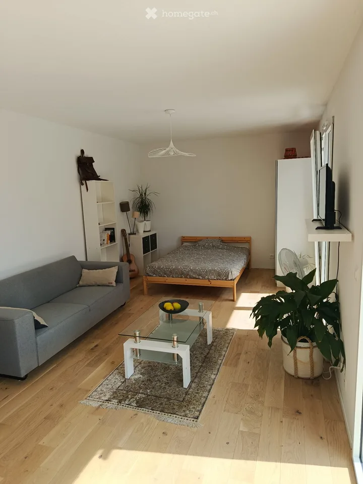 Studio in affitto