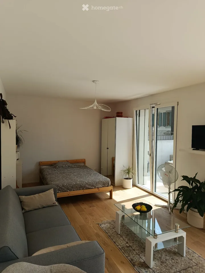Studio in affitto