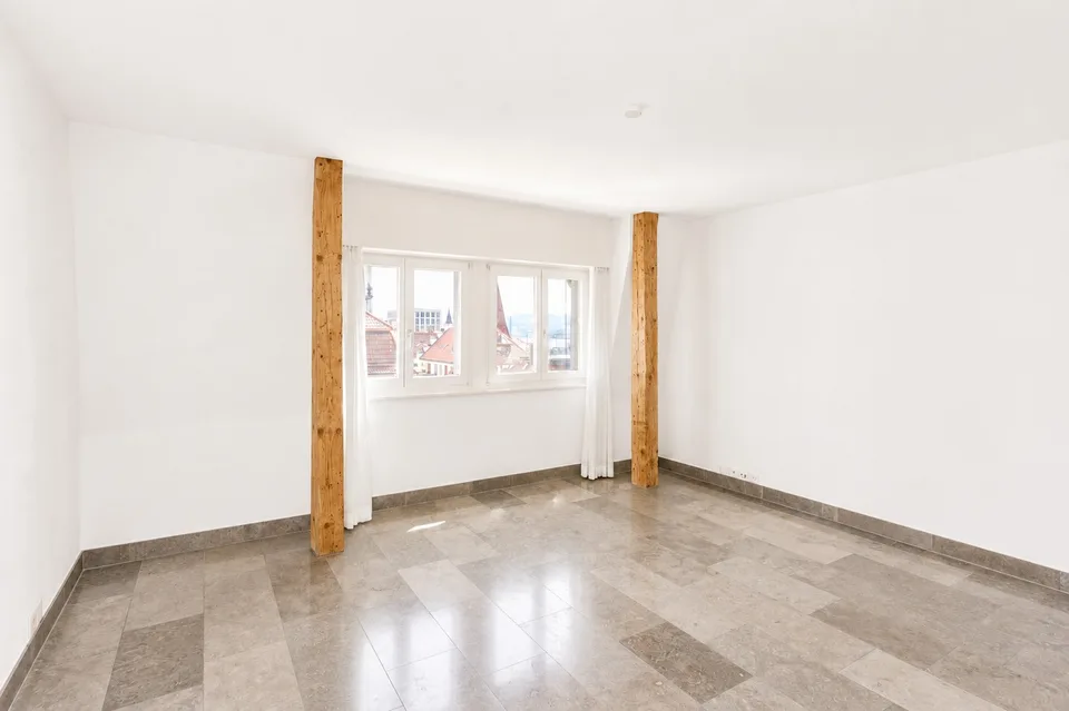 Attractive 3.5-room attic apartment with private rooftop terrace and panoramic view of Zurich and Lake Zurich