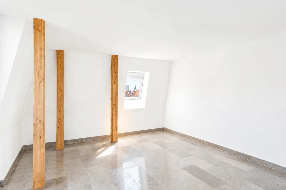 Attractive 3.5-room attic apartment with private rooftop terrace and panoramic view of Zurich and Lake Zurich