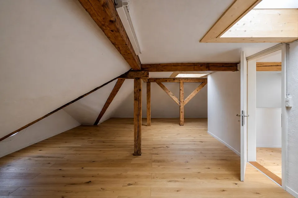 Attractive 3.5-room attic apartment with private rooftop terrace and panoramic view of Zurich and Lake Zurich