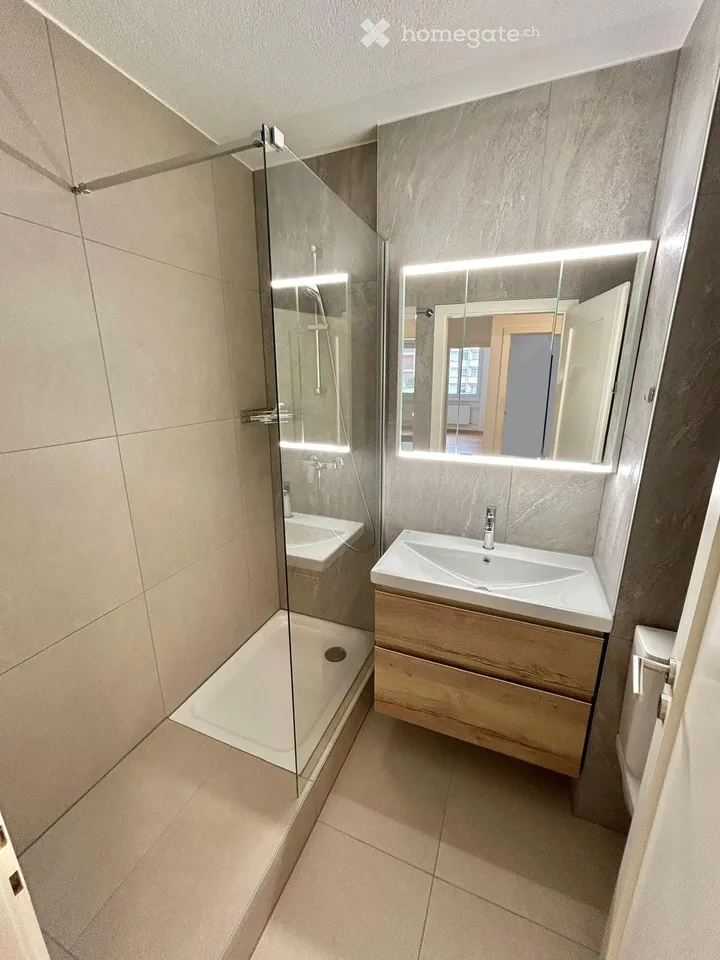 Renovated 3.5-room apartment in Fribourg