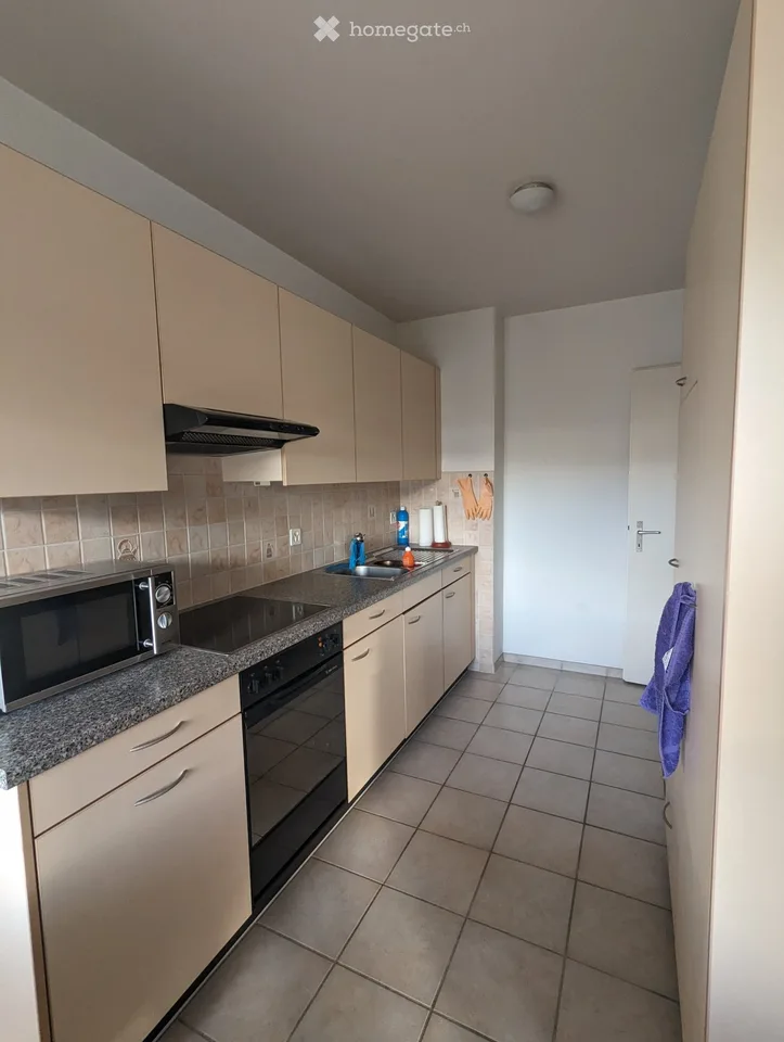 Appartamento 1.5 locali con balcone & vista panoramica al Schwarzpark Basel