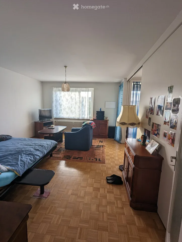 Appartamento 1.5 locali con balcone & vista panoramica al Schwarzpark Basel