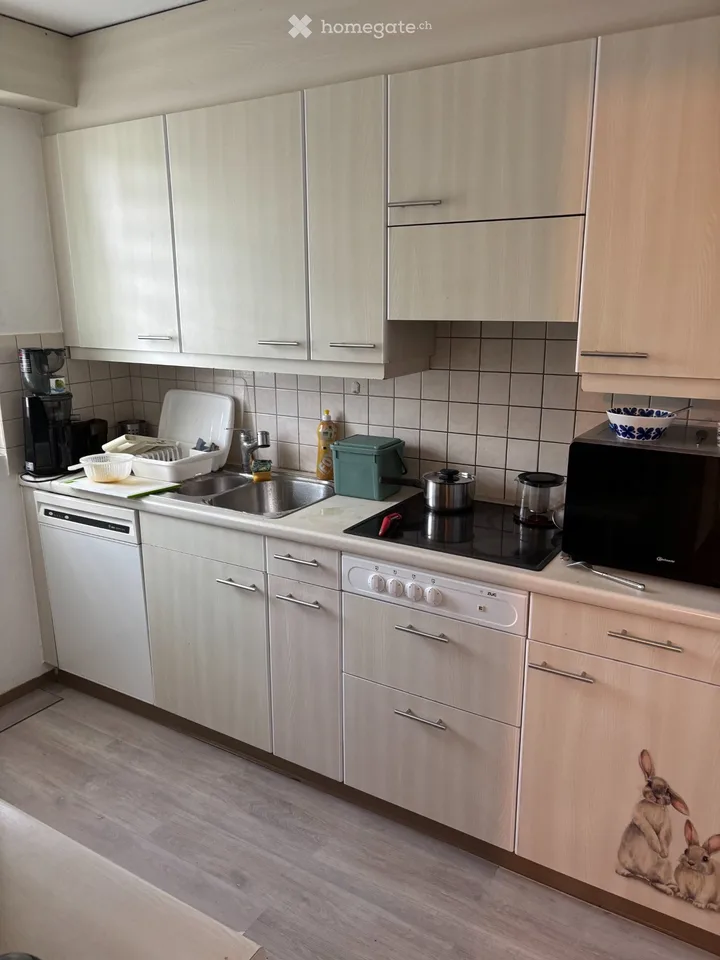 Two shared flat rooms for a man