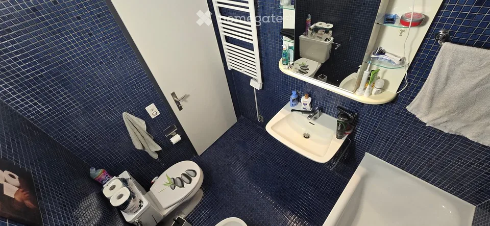 Gesucht: Einziehender für Wohnung in Mezzovico