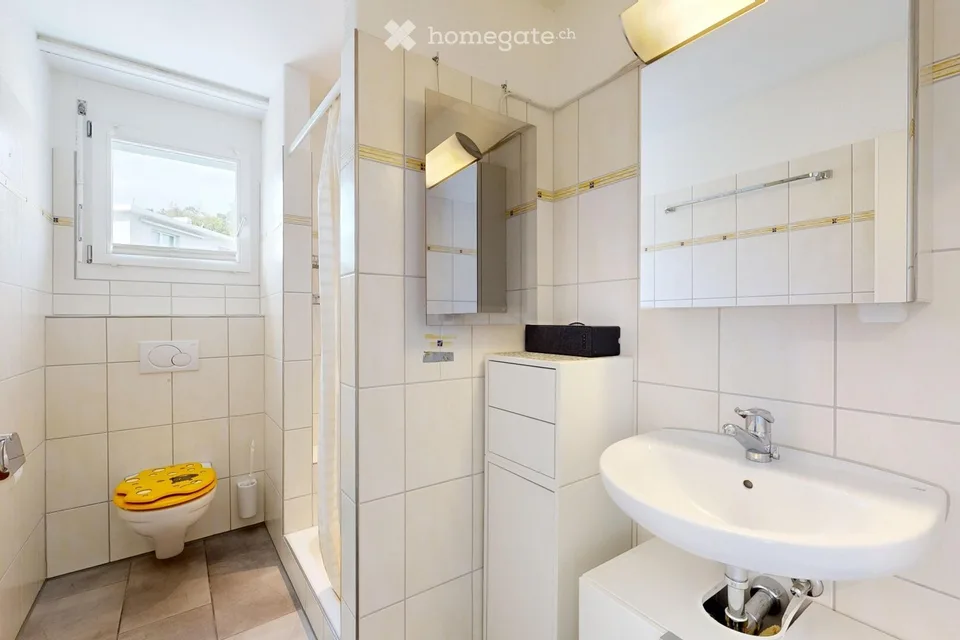 Charmante 5.5-Zimmer-Attikawohnung in Rütihof – Wohnen mit Weitblick