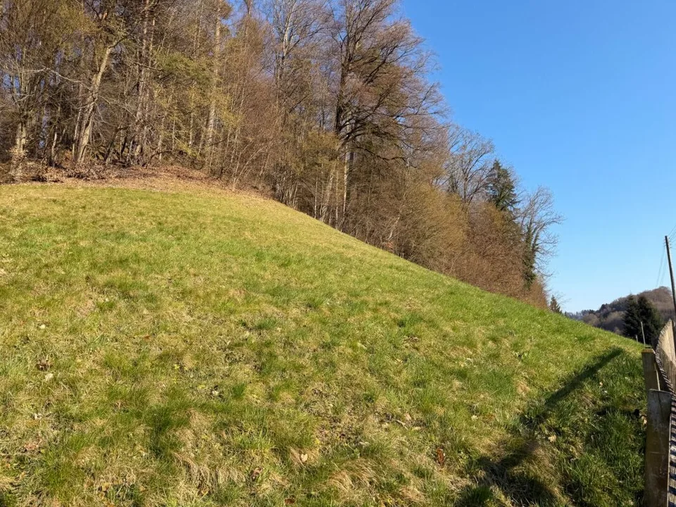 Chalet affascinante con grande potenziale su un grande terreno – foto 14 di 15