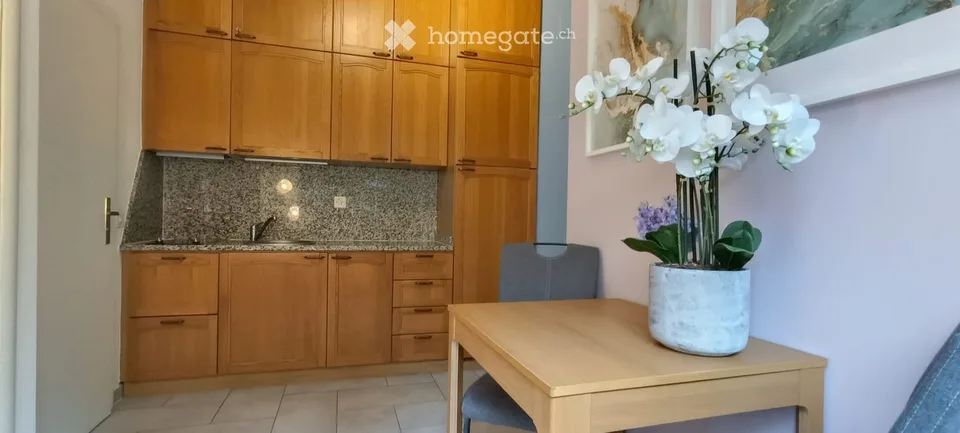 Studio de vacances à Muralto, meublé, location mensuelle ou annuelle