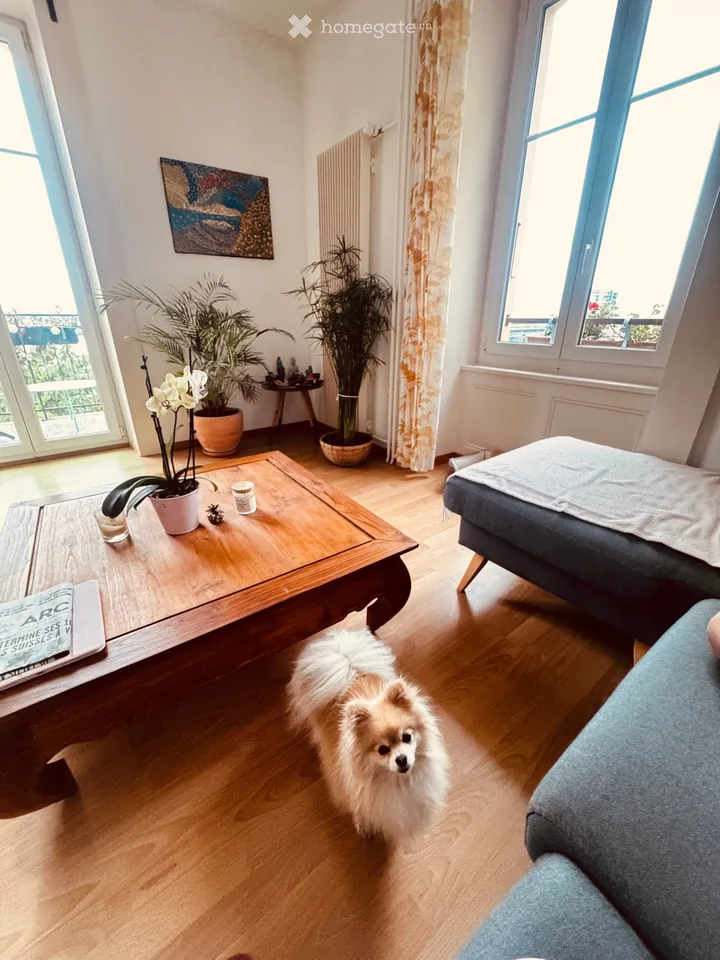 Chambre à louer Appartement 3 pièces avec vue sur le lac