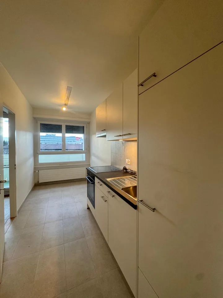 À louer ? 3,5 pièces meublé (option) à Carouge