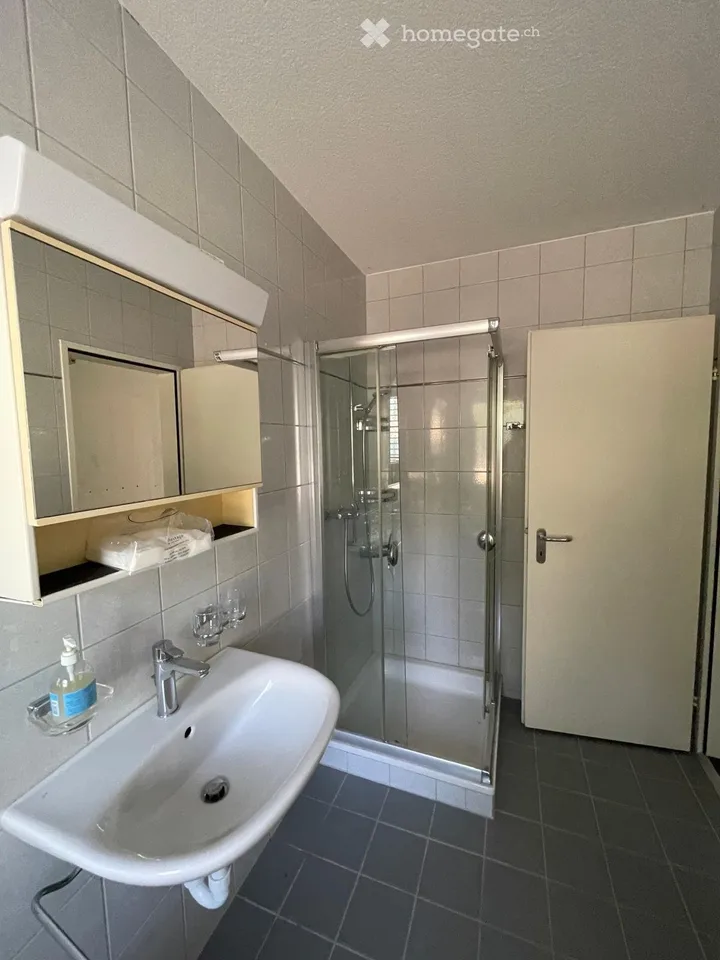 Charmant appartement 3.5 pièces avec terrasse et belle vue à Jona