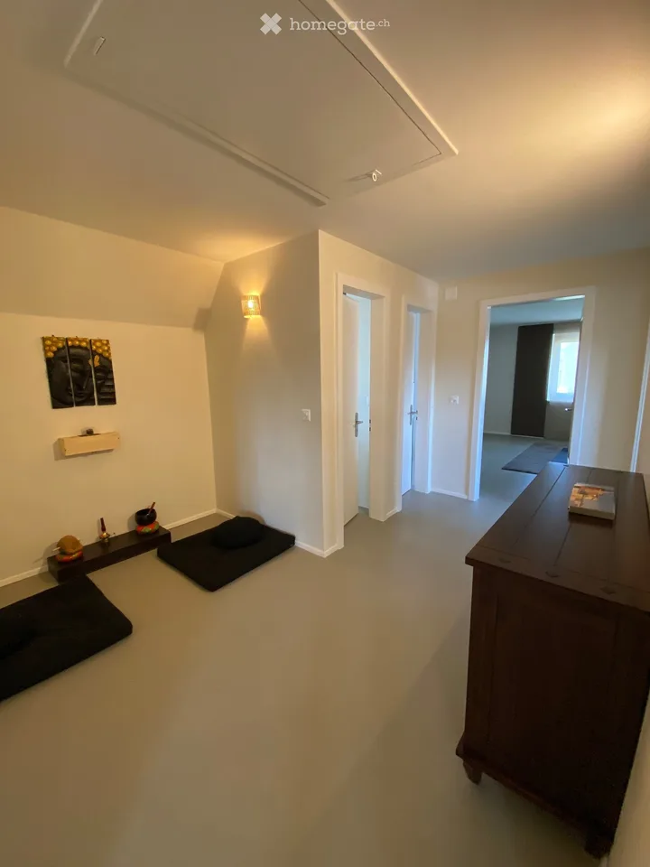 Grande appartamento 2.5 locali ristrutturato con terrazza in quartiere tranquillo