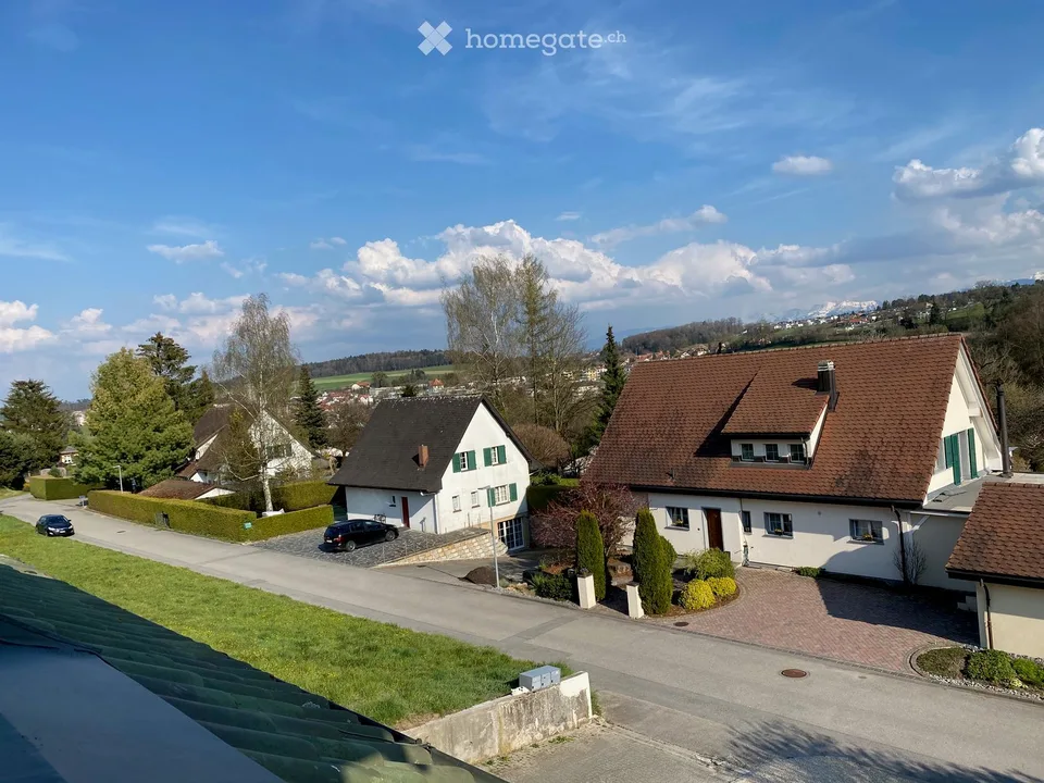 Grande appartamento 2.5 locali ristrutturato con terrazza in quartiere tranquillo